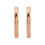 Load image into Gallery viewer, Suvarna Earrings